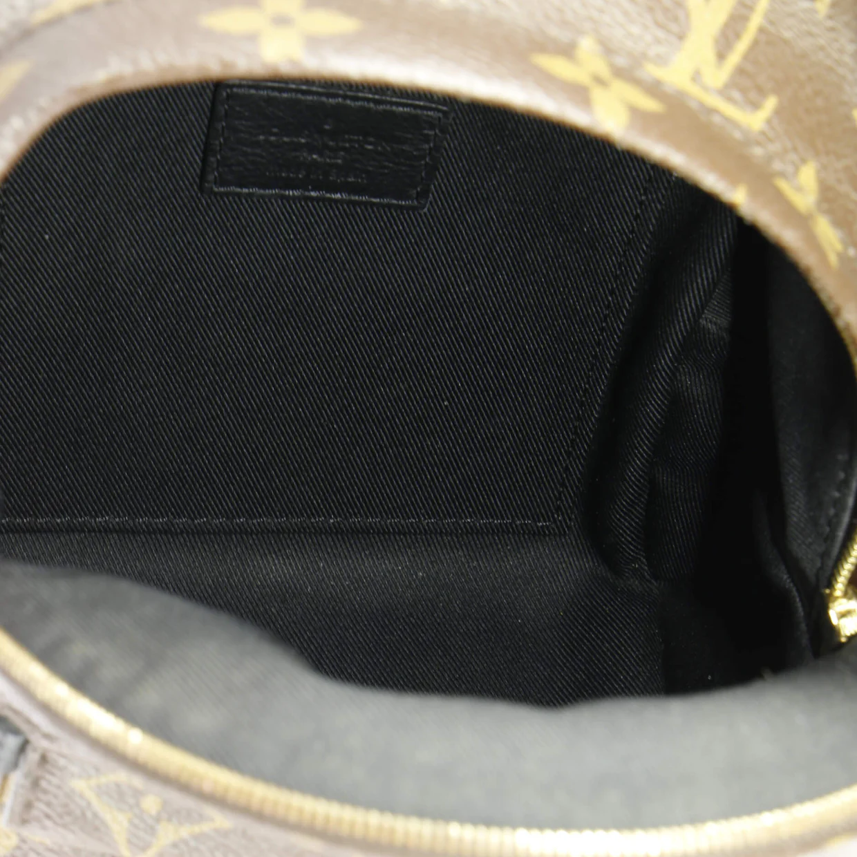 Palm Springs Backpack Monogram Canvas Mini - Deep Luxury