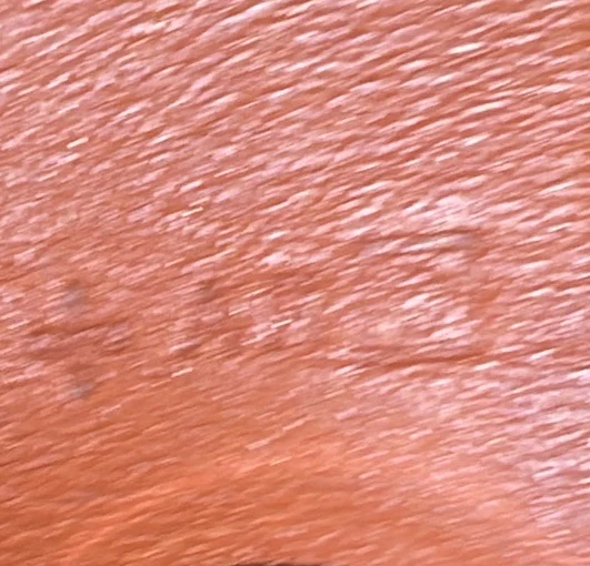 Cabag Elan Toile and Leather 39 - Deep Luxury