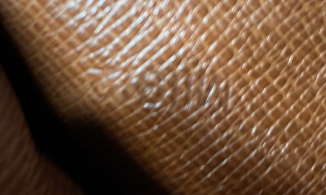 Porte Tresor International Wallet Monogram Canvas - Deep Luxury