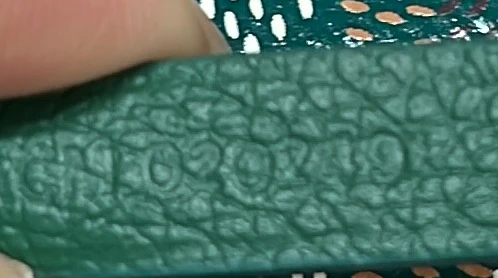 Saint Louis Tote Coated Canvas PM - Deep Luxury