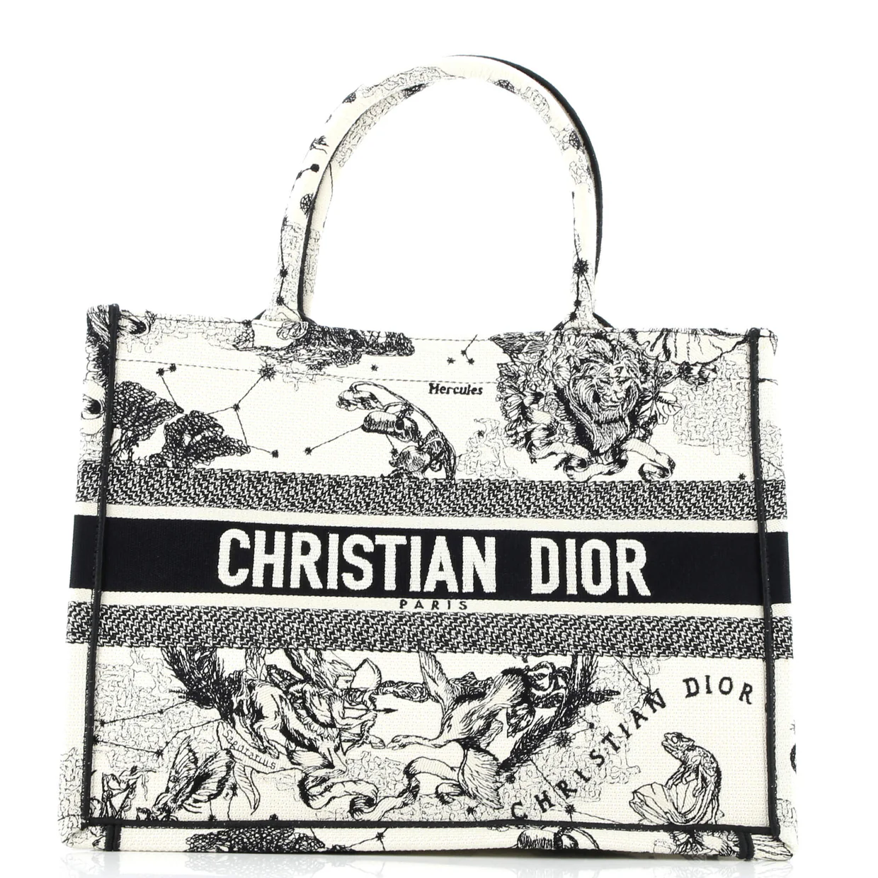 Book Tote Embroidered Canvas Medium - Deep Luxury