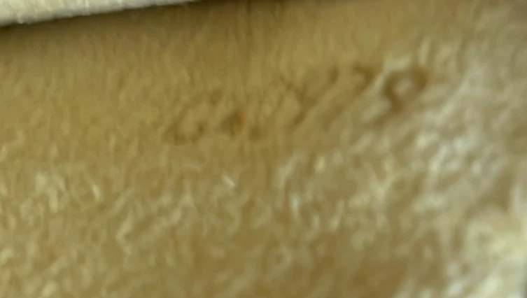 Twin Handbag Monogram Canvas GM - Deep Luxury