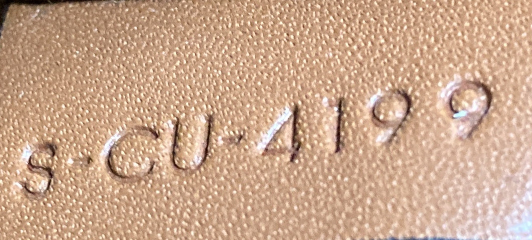 Camera Bag Triomphe Coated Canvas Small - Deep Luxury