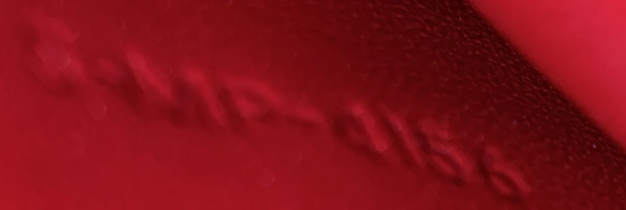 Classic Box Bag Smooth Leather Medium - Deep Luxury