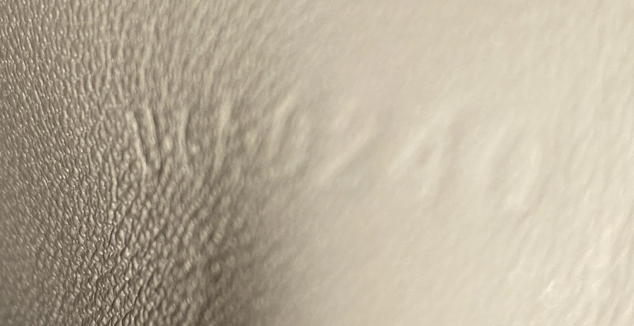 Classic Box Bag Lizard Teen - Deep Luxury