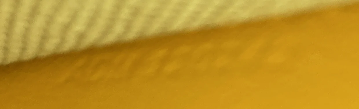 Hirondelle Shoulder Bag Coated Canvas and Leather - Deep Luxury