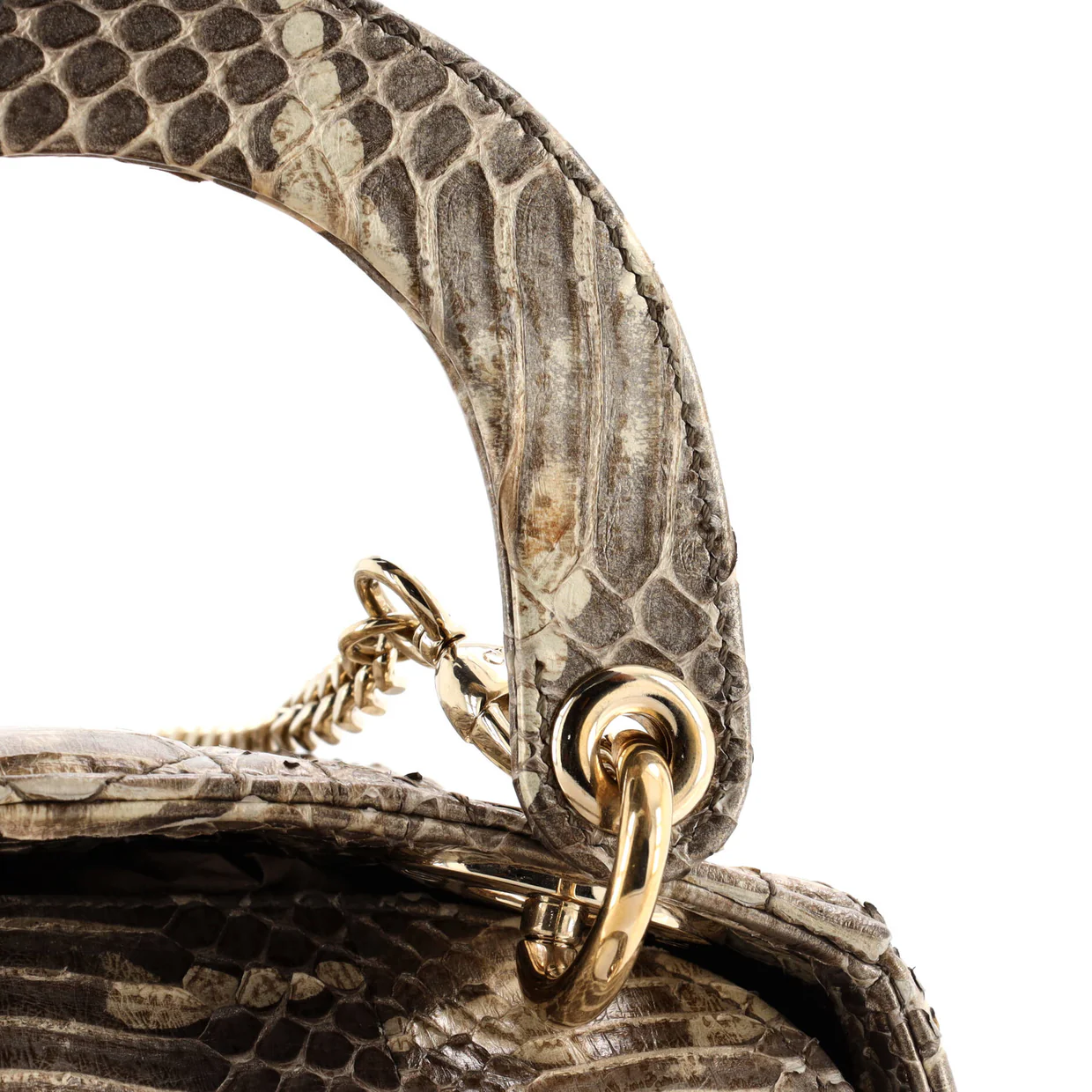 Lady Dior Bag Python Mini - Deep Luxury