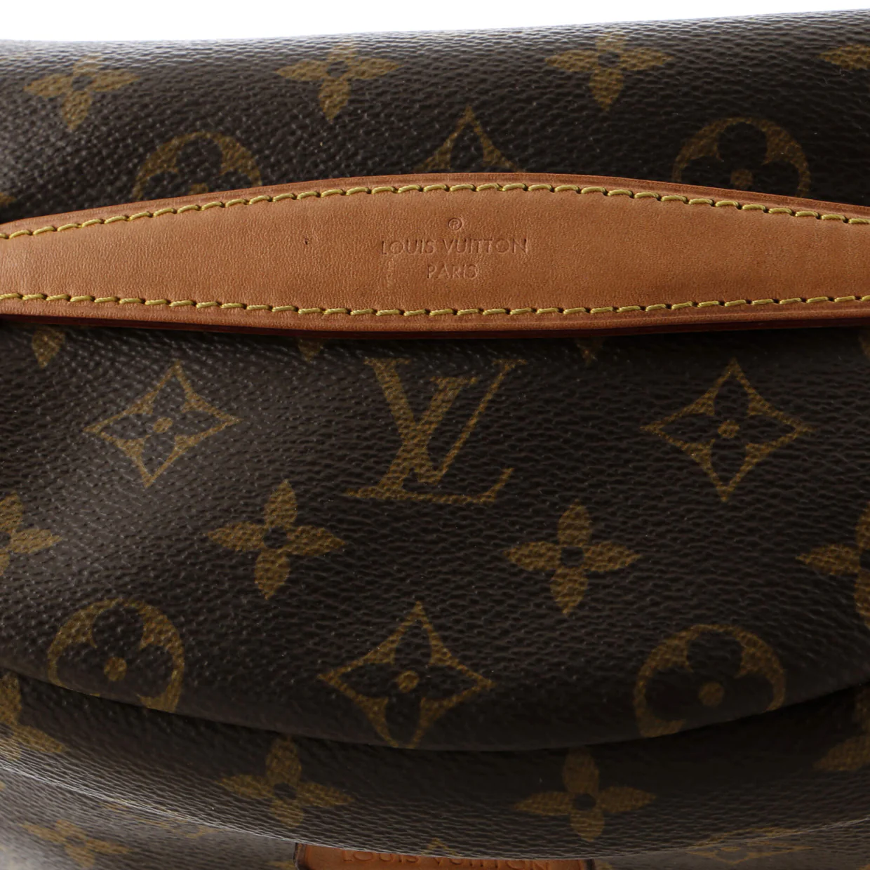 Bum Bag Monogram Canvas - Deep Luxury