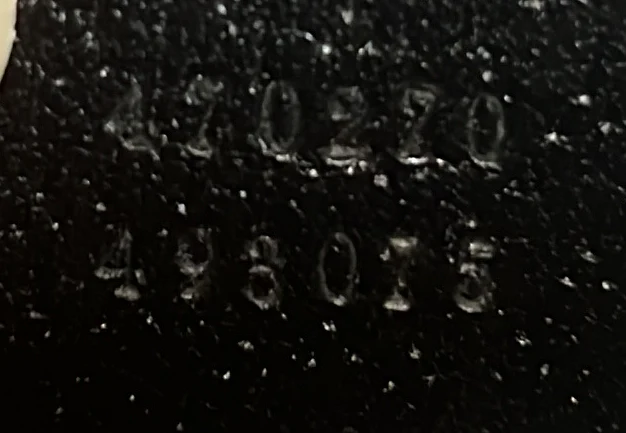 Sylvie Top Handle Bag Printed Leather Mini - Deep Luxury