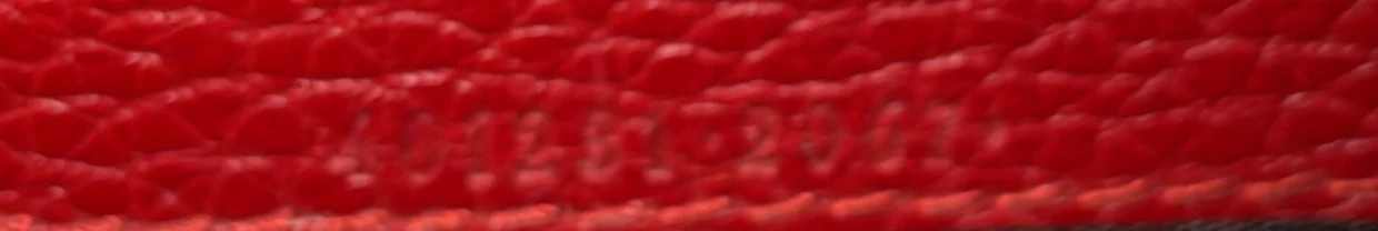 Dionysus Chain Wallet Leather with Embellished Detail Small - Deep Luxury