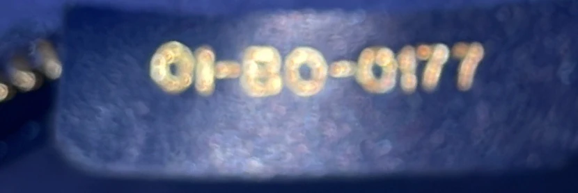 Diorama Flap Bag Studded Patent Medium - Deep Luxury