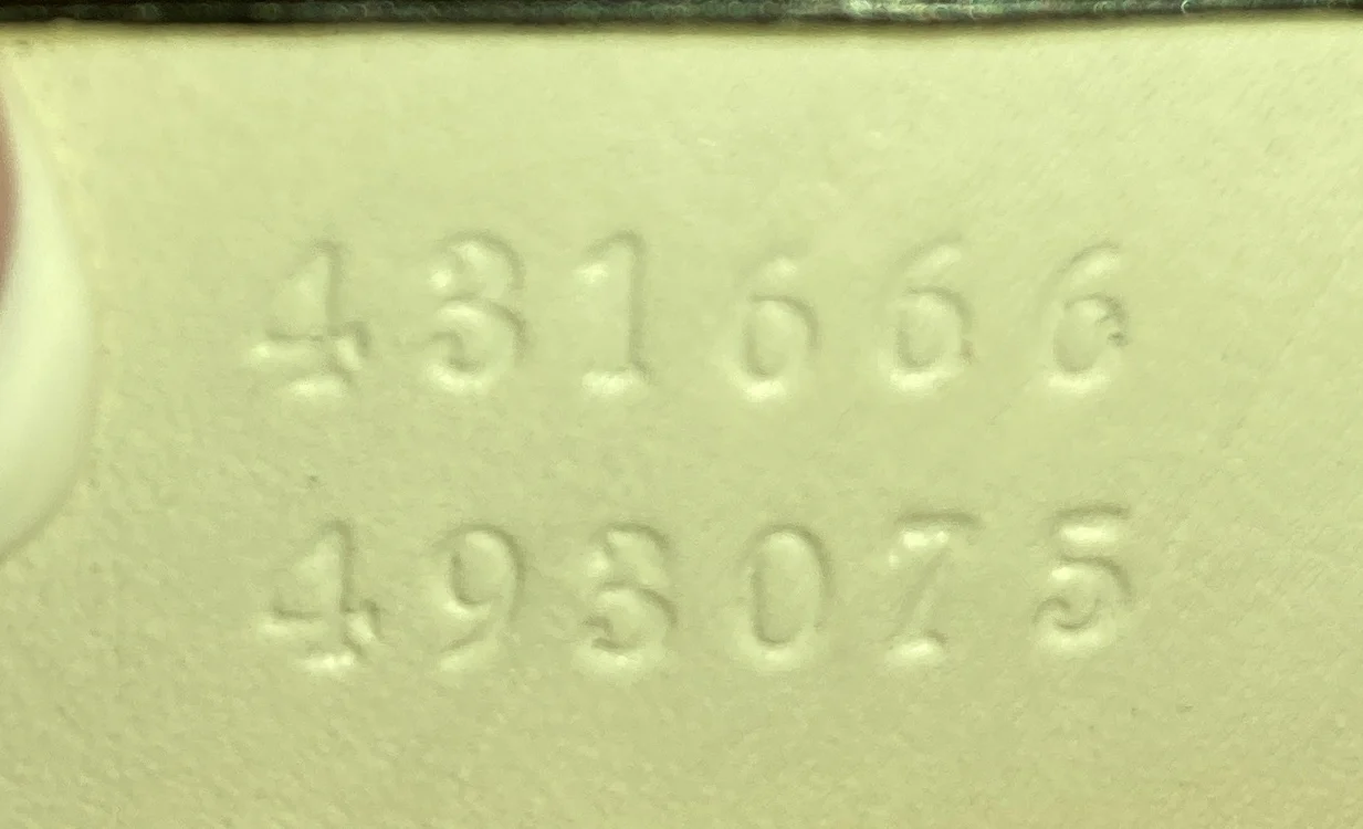 Sylvie Chain Shoulder Bag Leather Mini - Deep Luxury