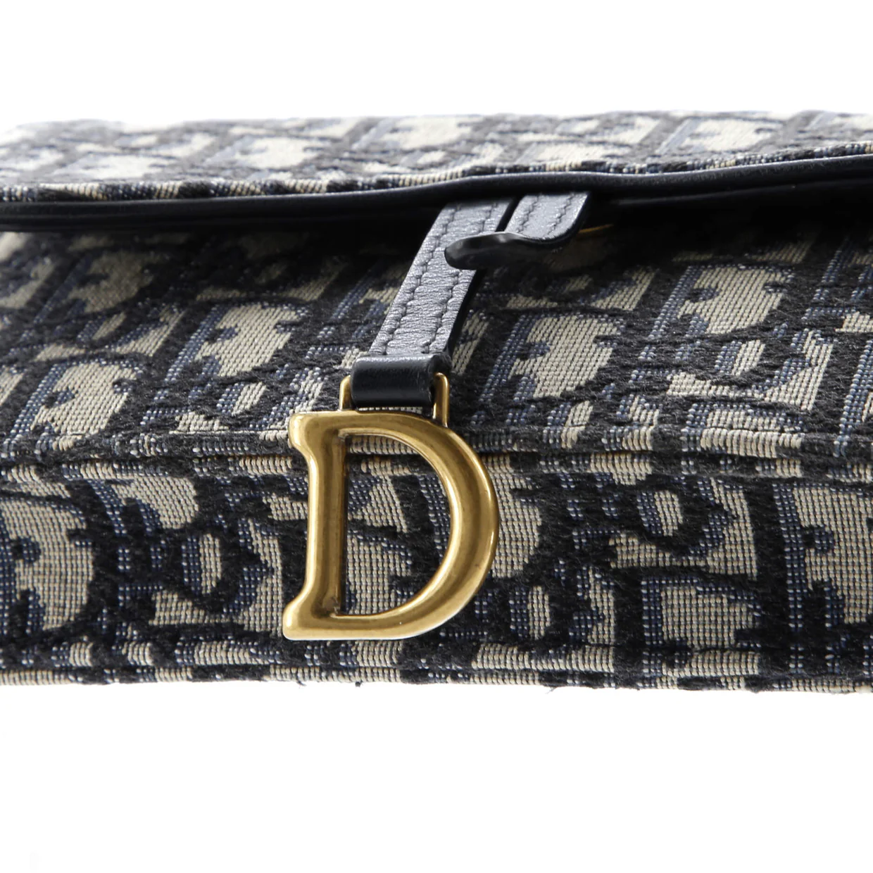 Saddle Rectangular Belt Bag Oblique Canvas - Deep Luxury