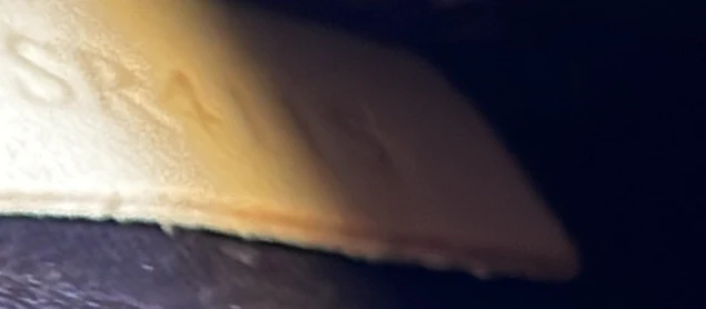 Brea NM Handbag Monogram Vernis MM - Deep Luxury