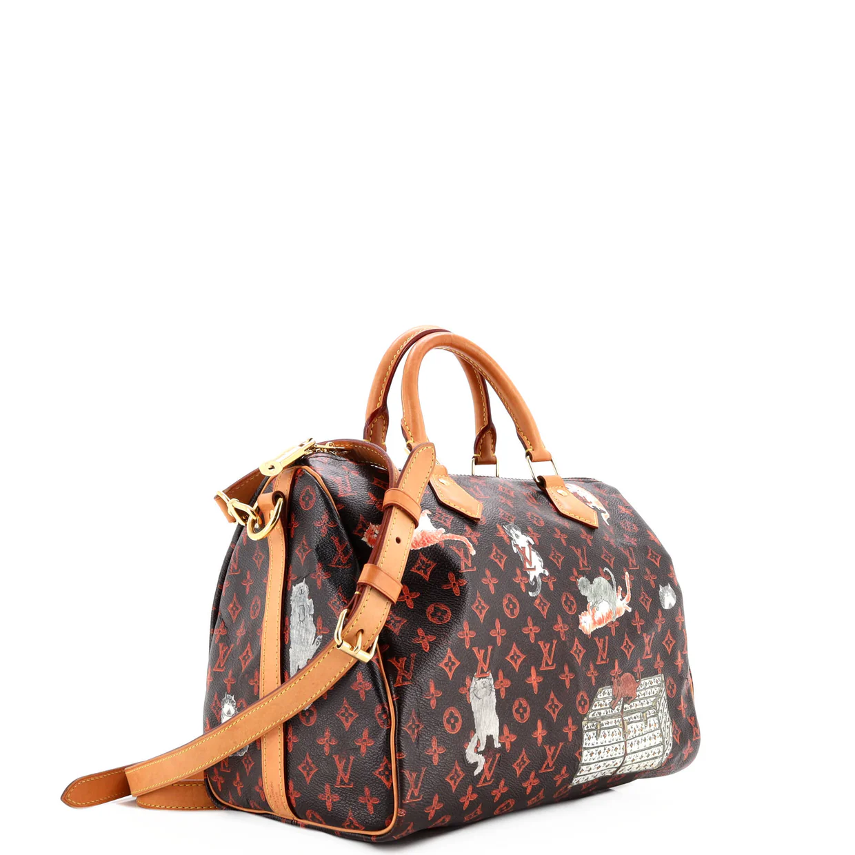 Speedy Bandouliere Bag Limited Edition Grace Coddington Catogram Canvas 30 - Deep Luxury