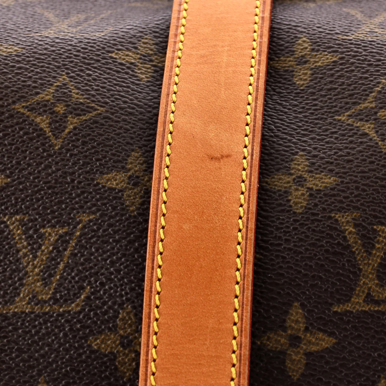 Saumur Handbag Monogram Canvas 35 - Deep Luxury