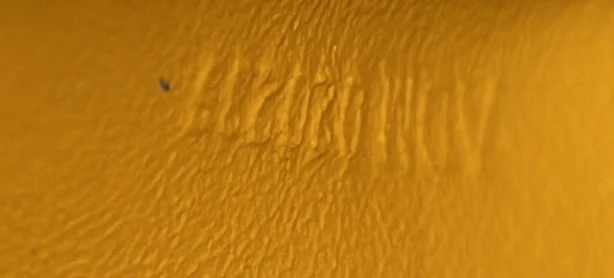 Plumet Clutch Wallet Coated Canvas - Deep Luxury