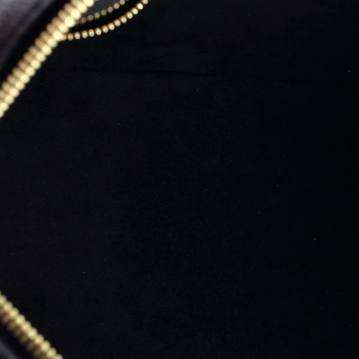 Speedy Bandouliere Bag Monogram Empreinte Giant 25 - Deep Luxury