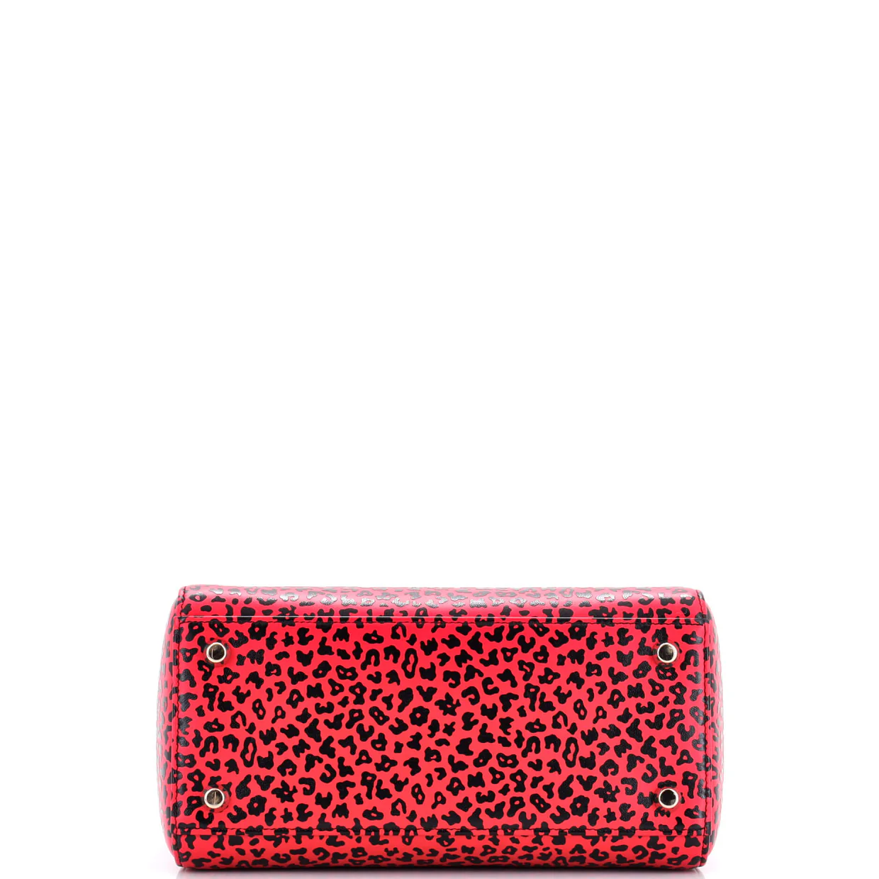 Lady Dior Bag Printed Leather Medium - Deep Luxury