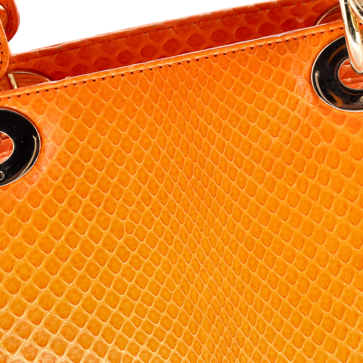 Lady Dior Bag Python Medium - Deep Luxury
