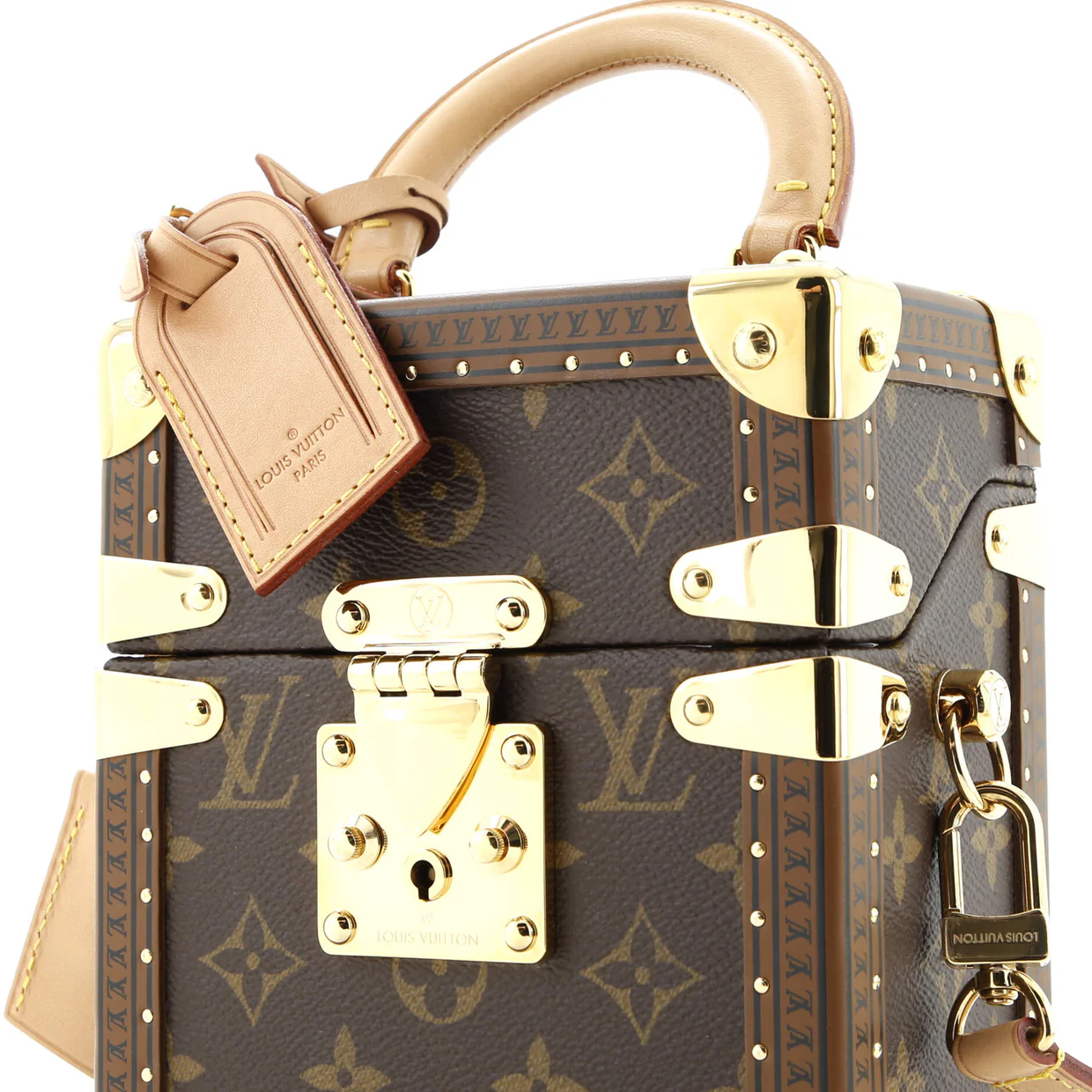 Camera Box Trunk Bag Monogram Canvas - Deep Luxury