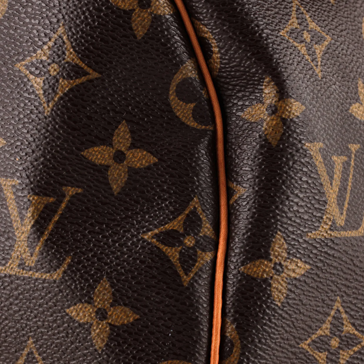 Speedy Handbag Monogram Canvas 30 - Deep Luxury