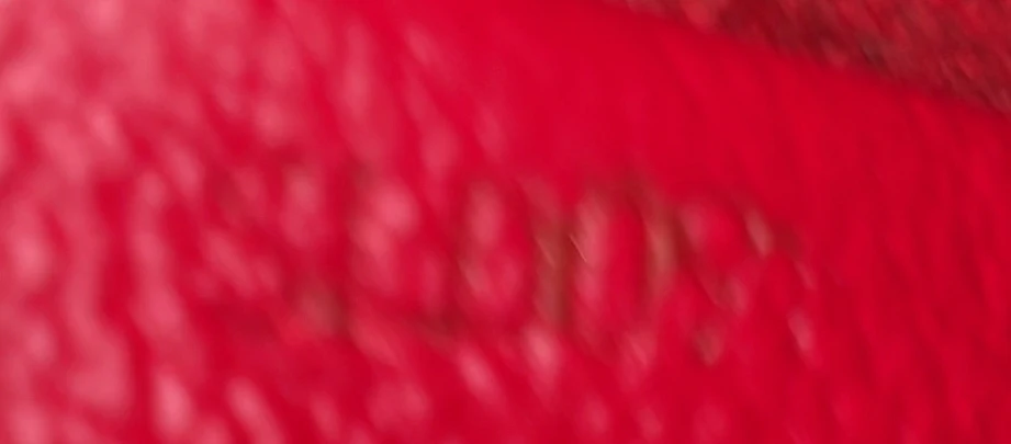 Sharon Stone Amfar Three Bag Monogram Canvas - Deep Luxury