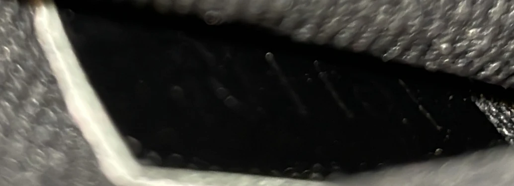 Michael Backpack Damier Graphite - Deep Luxury