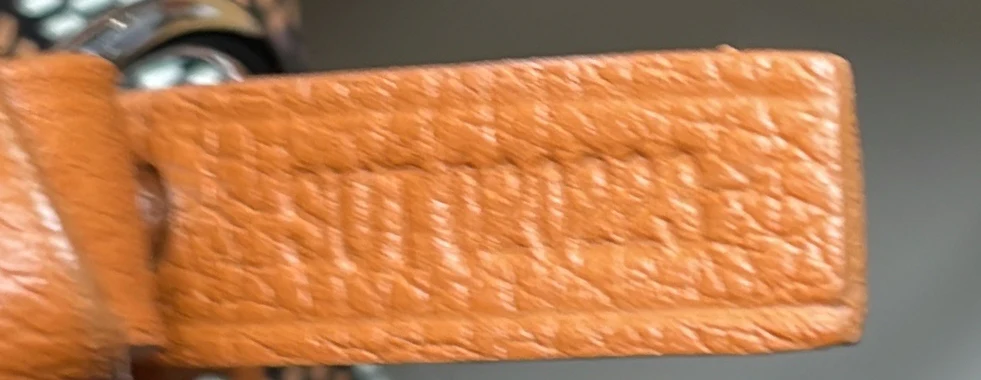 Saint Louis Tote Printed Coated Canvas GM - Deep Luxury