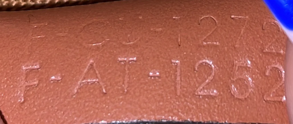 Bucket Bag Triomphe Coated Canvas Small - Deep Luxury