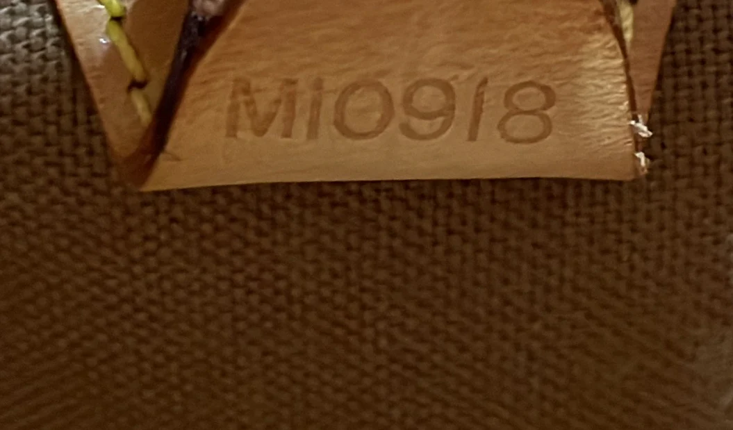 Ellipse Bag Monogram Canvas MM - Deep Luxury