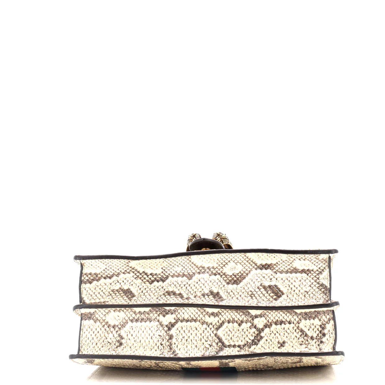 Web Dionysus Bag Python Medium - Deep Luxury