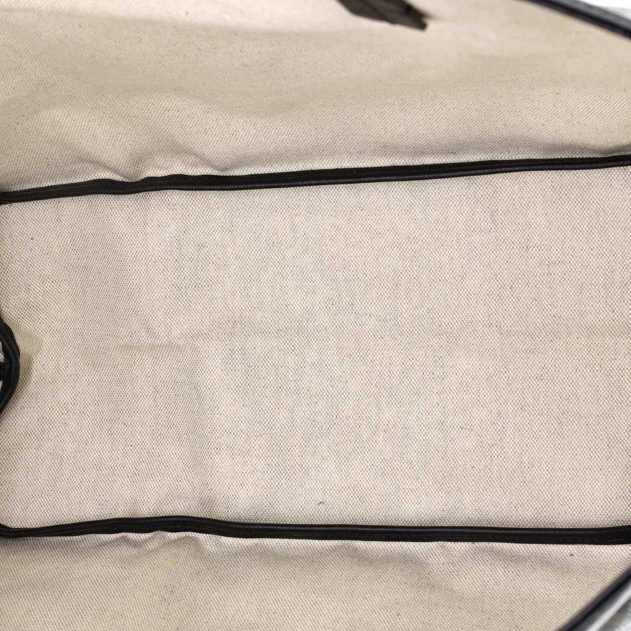 Saint Louis Tote Coated Canvas PM - Deep Luxury