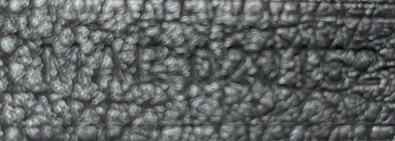 Saint Louis Tote Coated Canvas GM - Deep Luxury