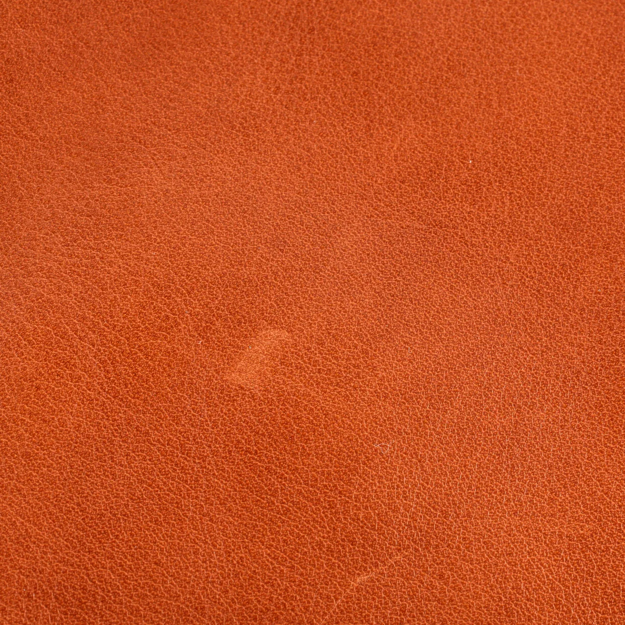 Odyssee Terre Duffle Bag Canvas with Leather - Deep Luxury