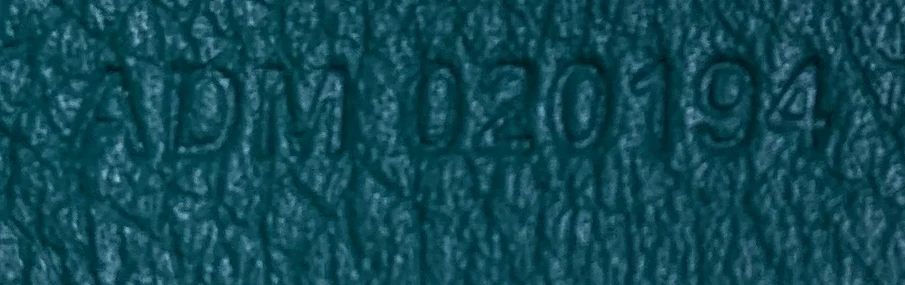 Saint Louis Tote Coated Canvas PM - Deep Luxury