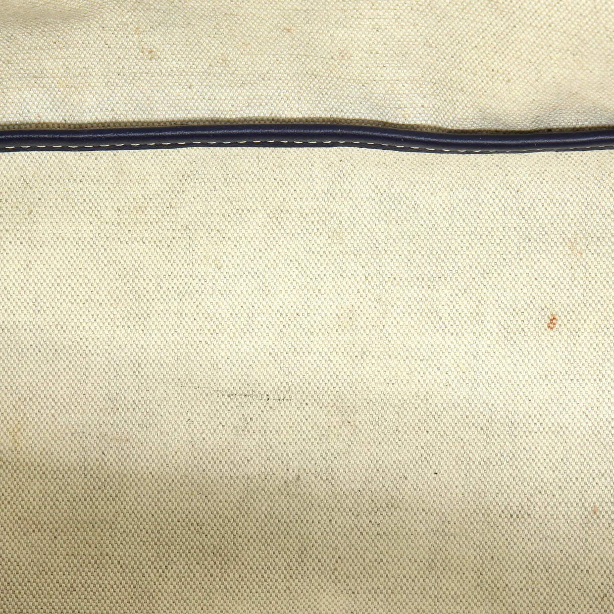 Saint Louis Tote Coated Canvas PM - Deep Luxury