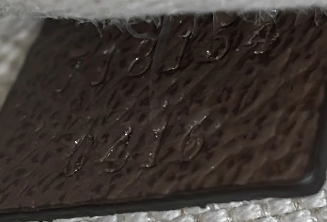 Blondie Flap Pocket Belt bag GG Coated Canvas - Deep Luxury