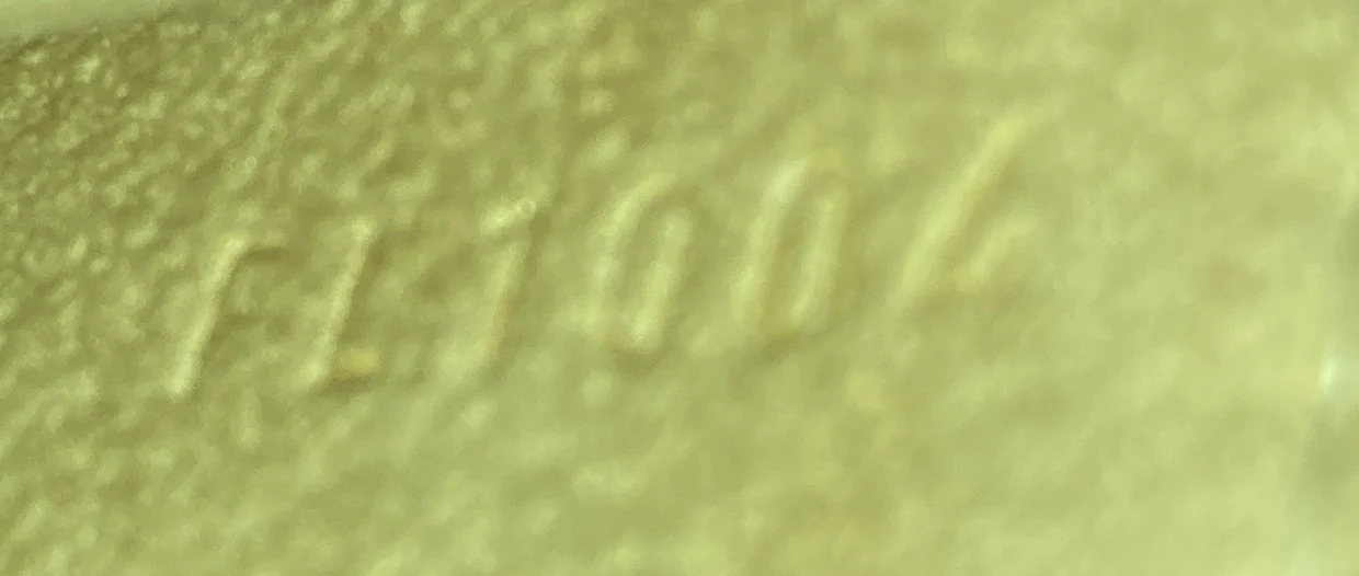 Florentine Waist Bag Monogram Canvas - Deep Luxury