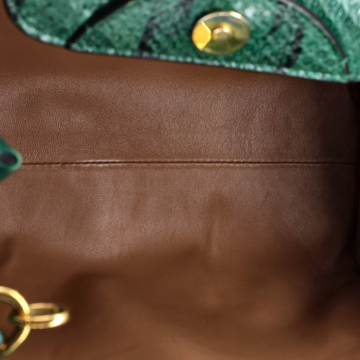 Diana NM Bamboo Handle Tote Python Small - Deep Luxury