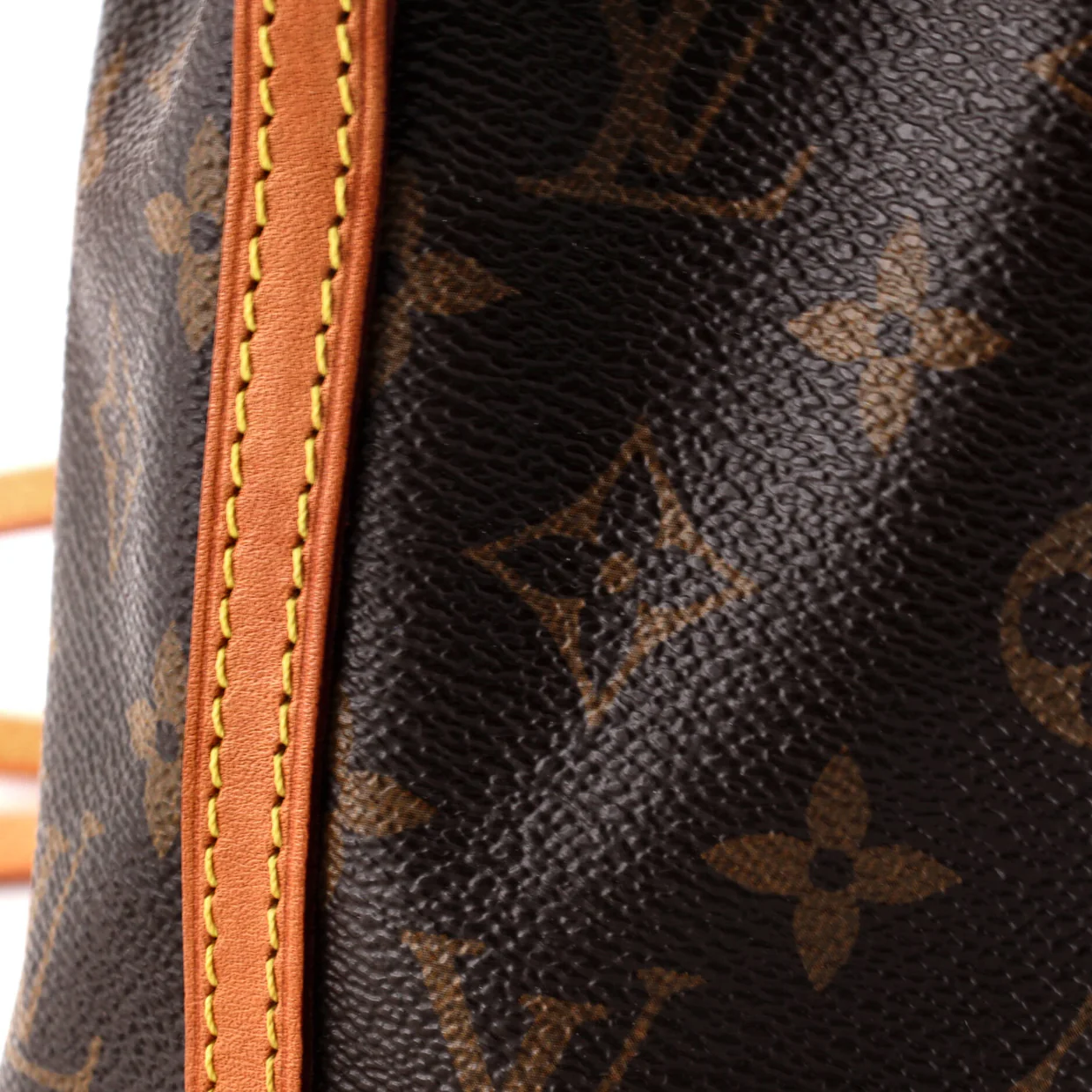 Noe Handbag Monogram Canvas Nano - Deep Luxury