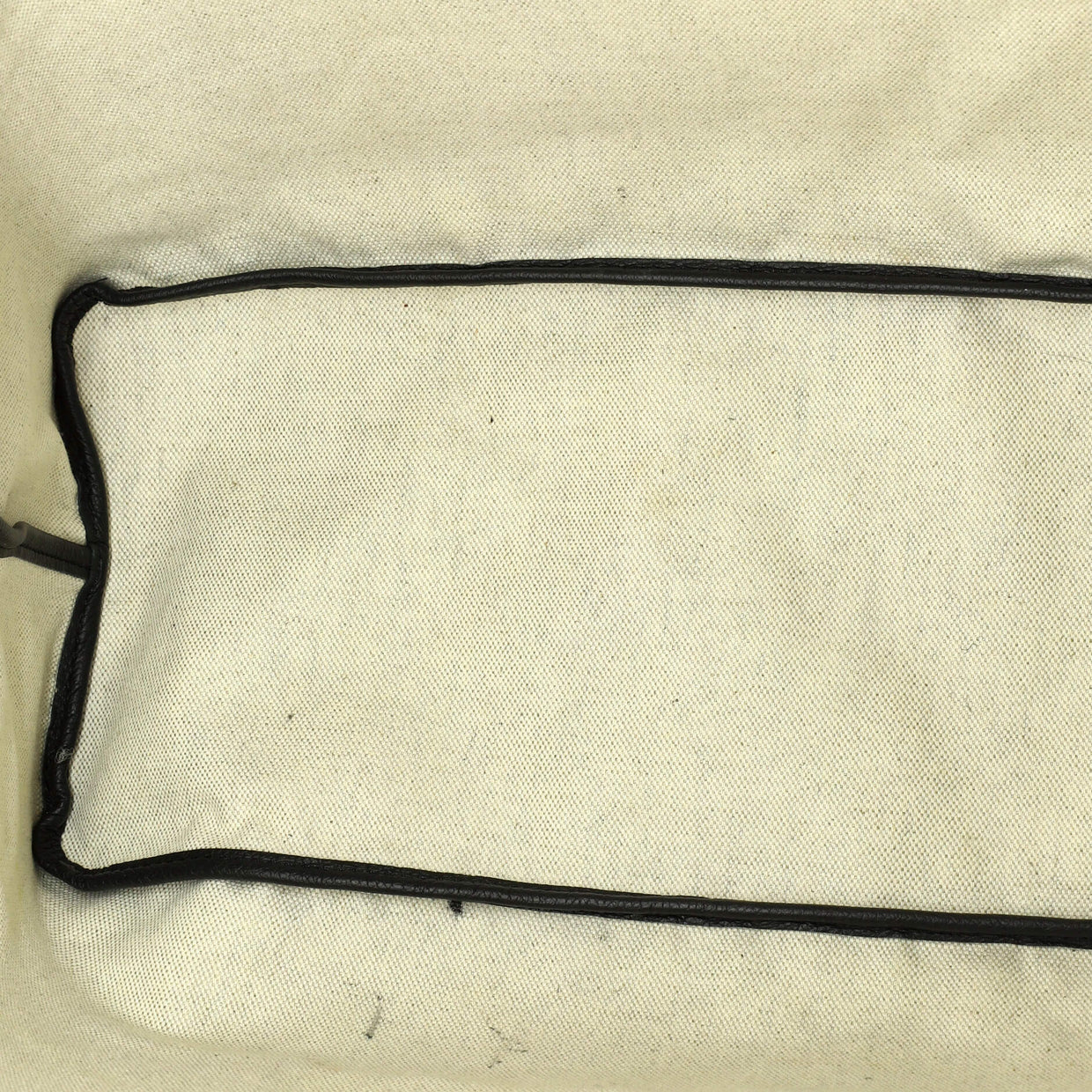 Saint Louis Tote Coated Canvas PM - Deep Luxury