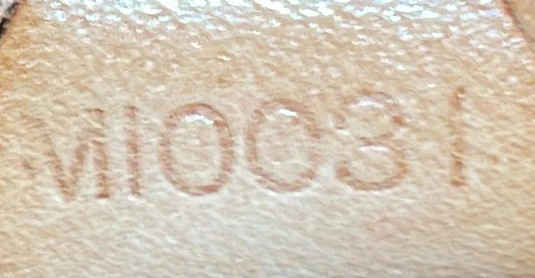 Ellipse Bag Monogram Canvas PM - Deep Luxury