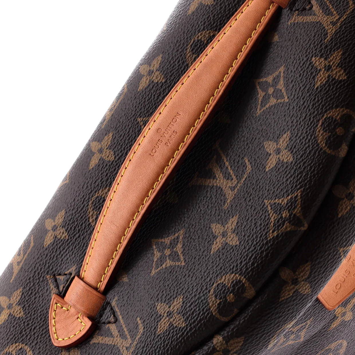 Bum Bag Monogram Canvas - Deep Luxury