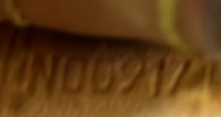 Shopping Sac Handbag Monogram Canvas GM - Deep Luxury