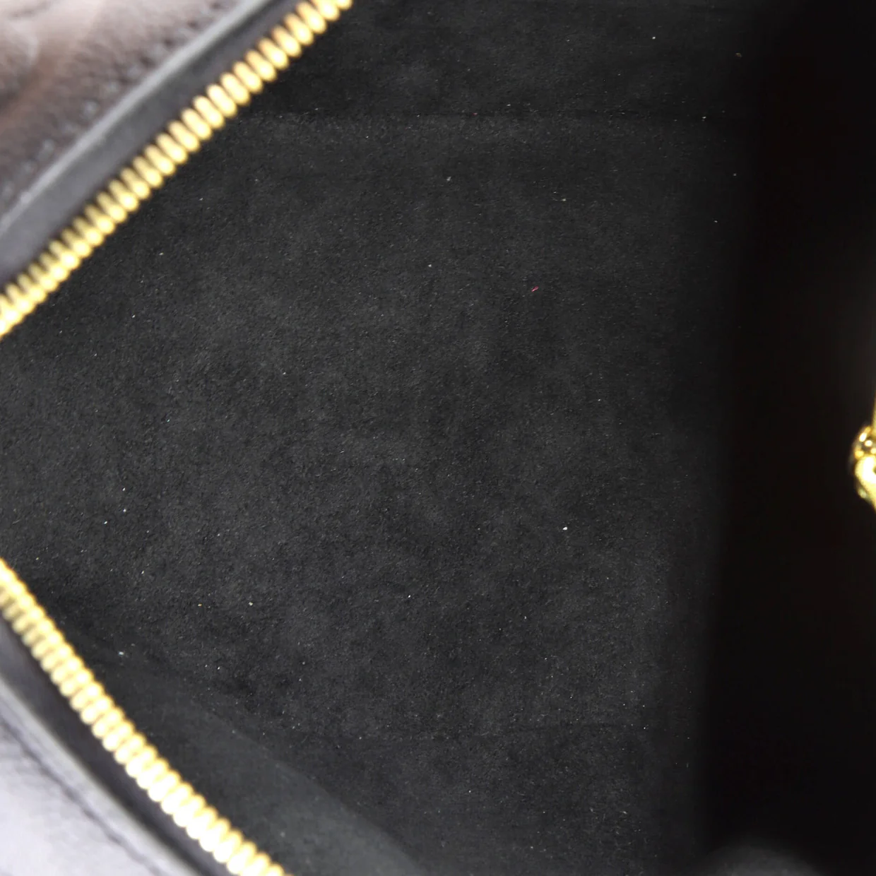 Speedy Bandouliere Bag Monogram Empreinte Giant 25 - Deep Luxury