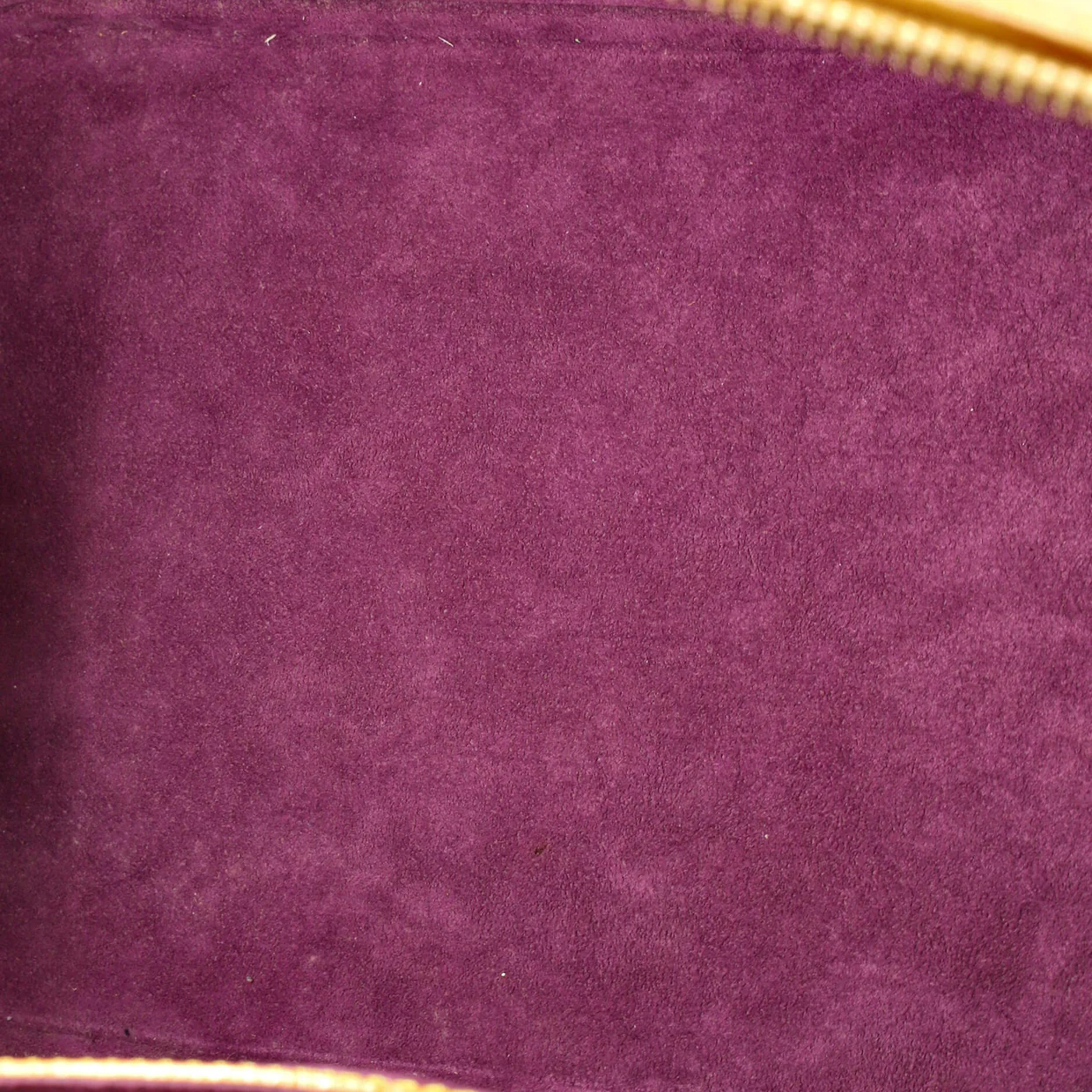 Alma Handbag Epi Leather PM - Deep Luxury