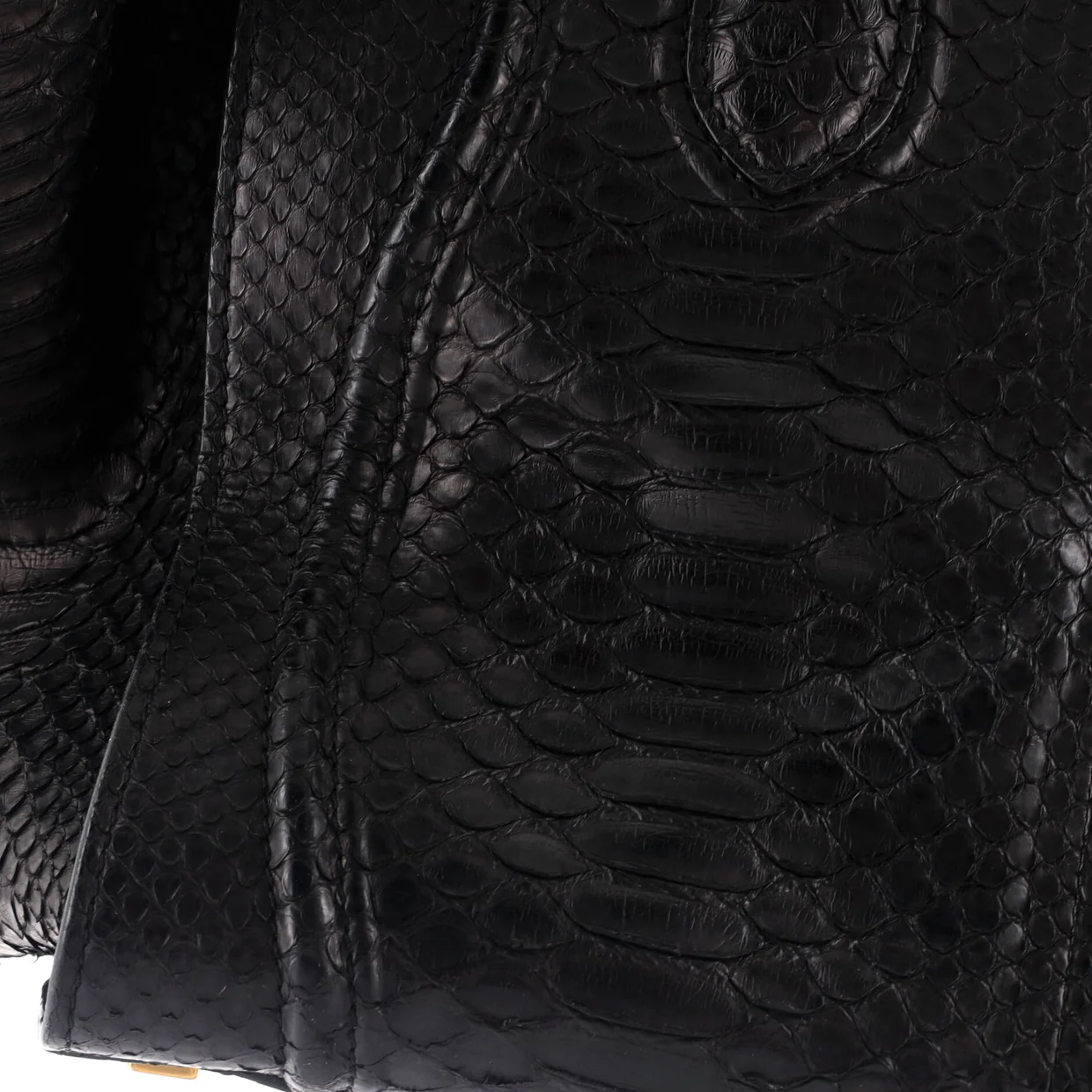 Phantom Bag Python Medium - Deep Luxury