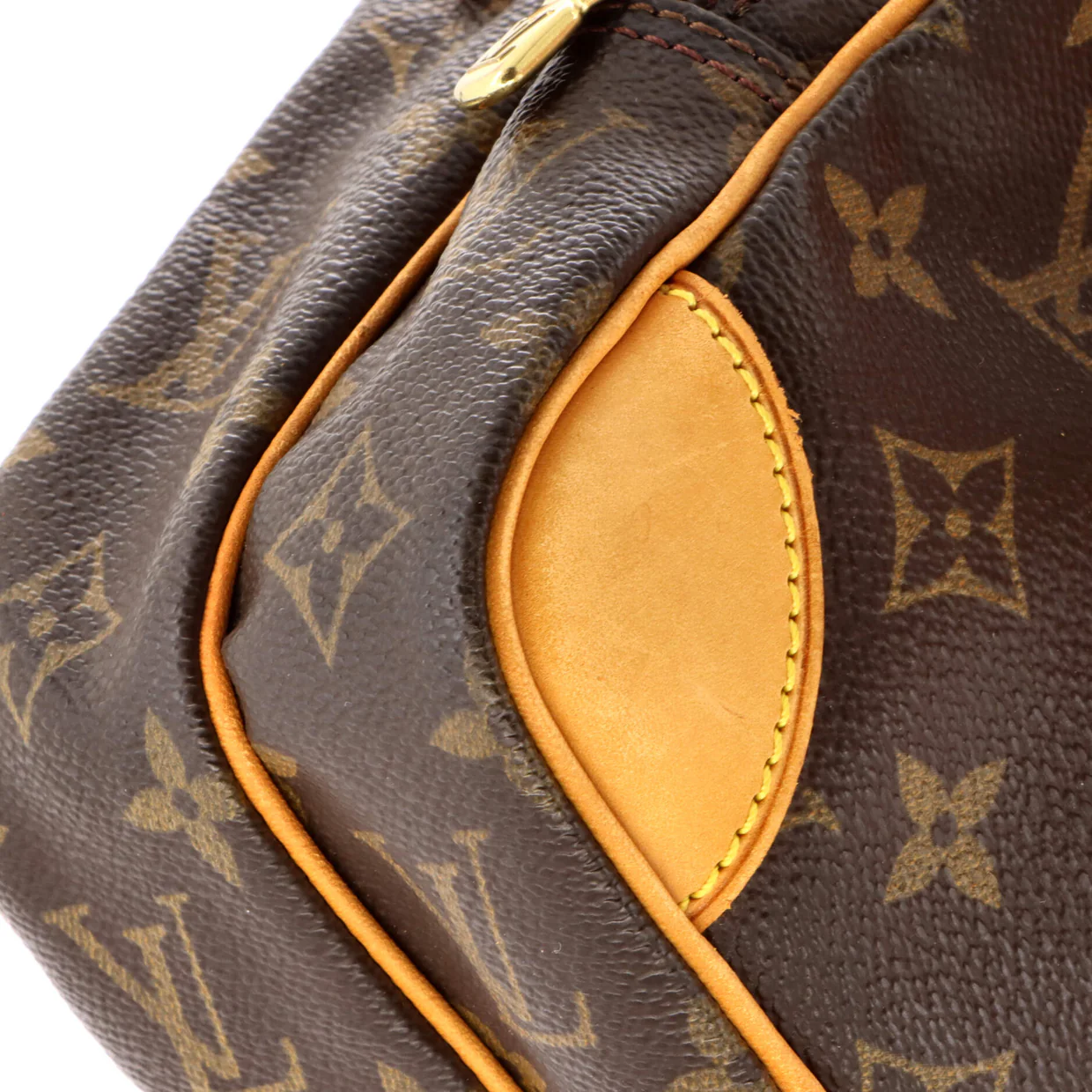 Amazone Bag Monogram Canvas - Deep Luxury