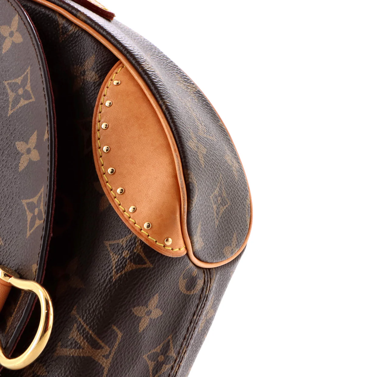 Saint Cloud NM Bag Monogram Canvas - Deep Luxury